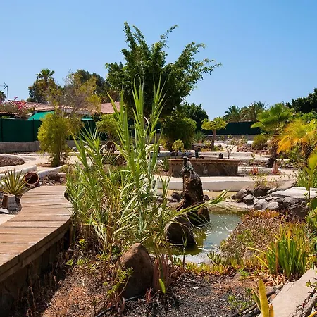 Hébergement de vacances With Terrace In Maspalomas Ds50 By Villagrancanaria