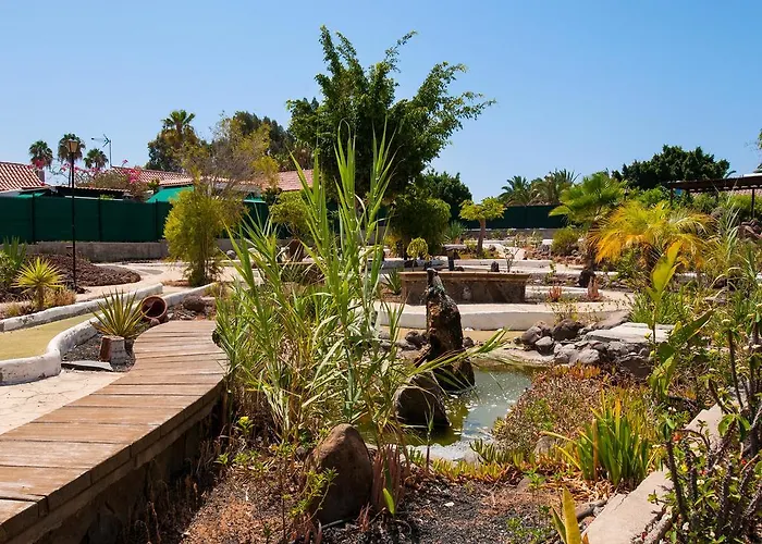 Semesterbostad With Terrace In Maspalomas Ds50 By Villagrancanaria